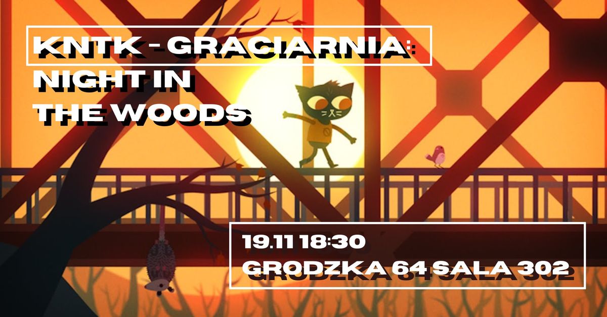 Sekcja Groznawcza "Graciarnia": Night in the Woods