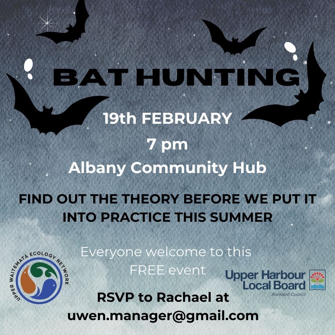 Bat information evening