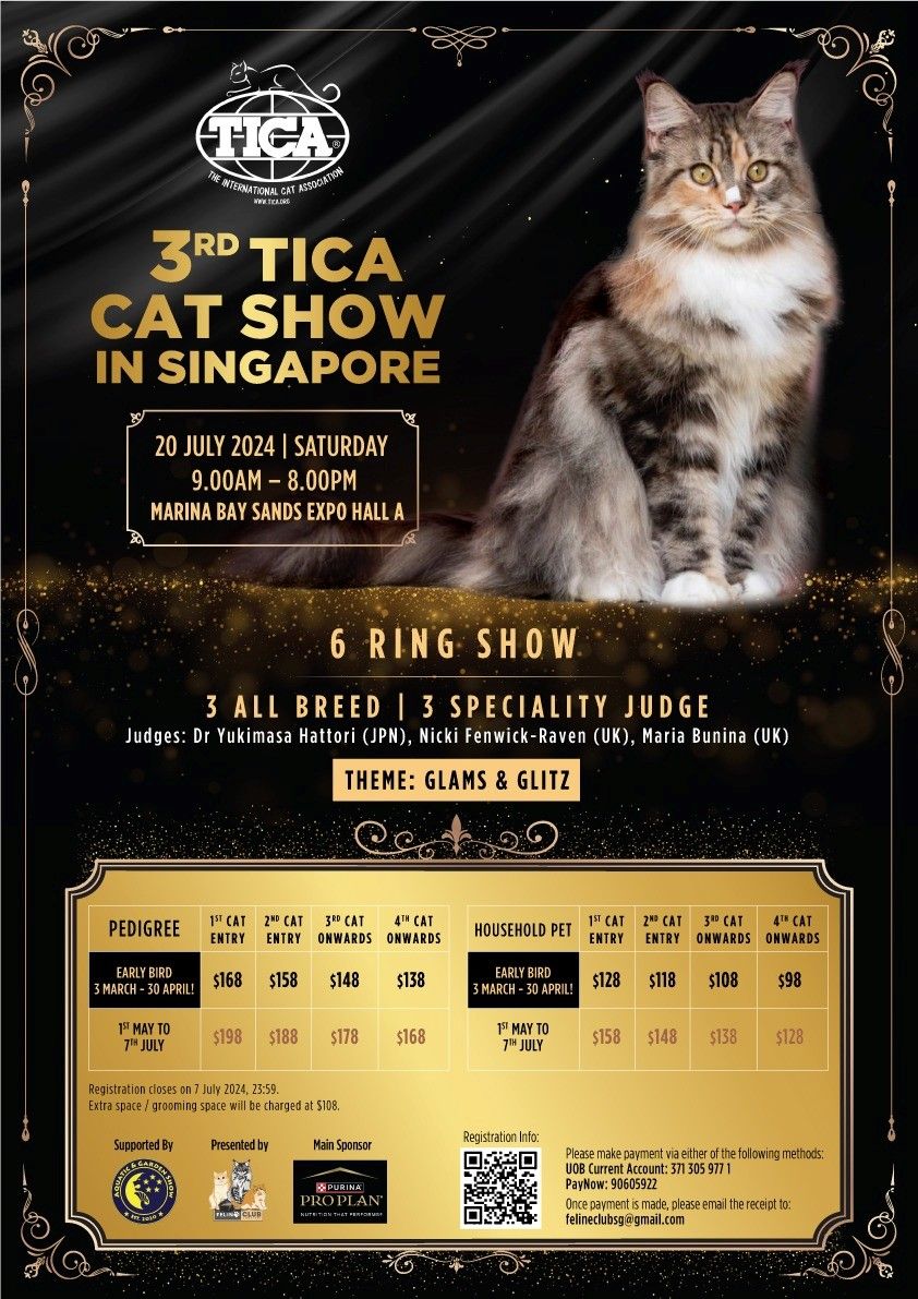 3rd TICA Cat Show