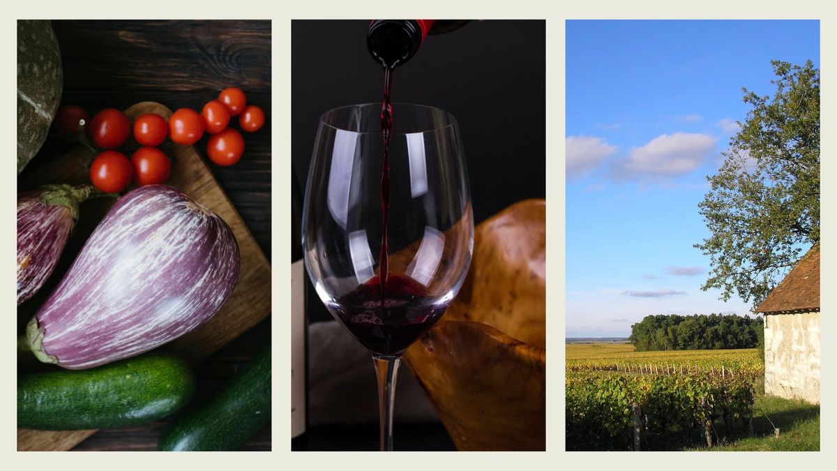 Wine & Food Pairing | Autumn Season