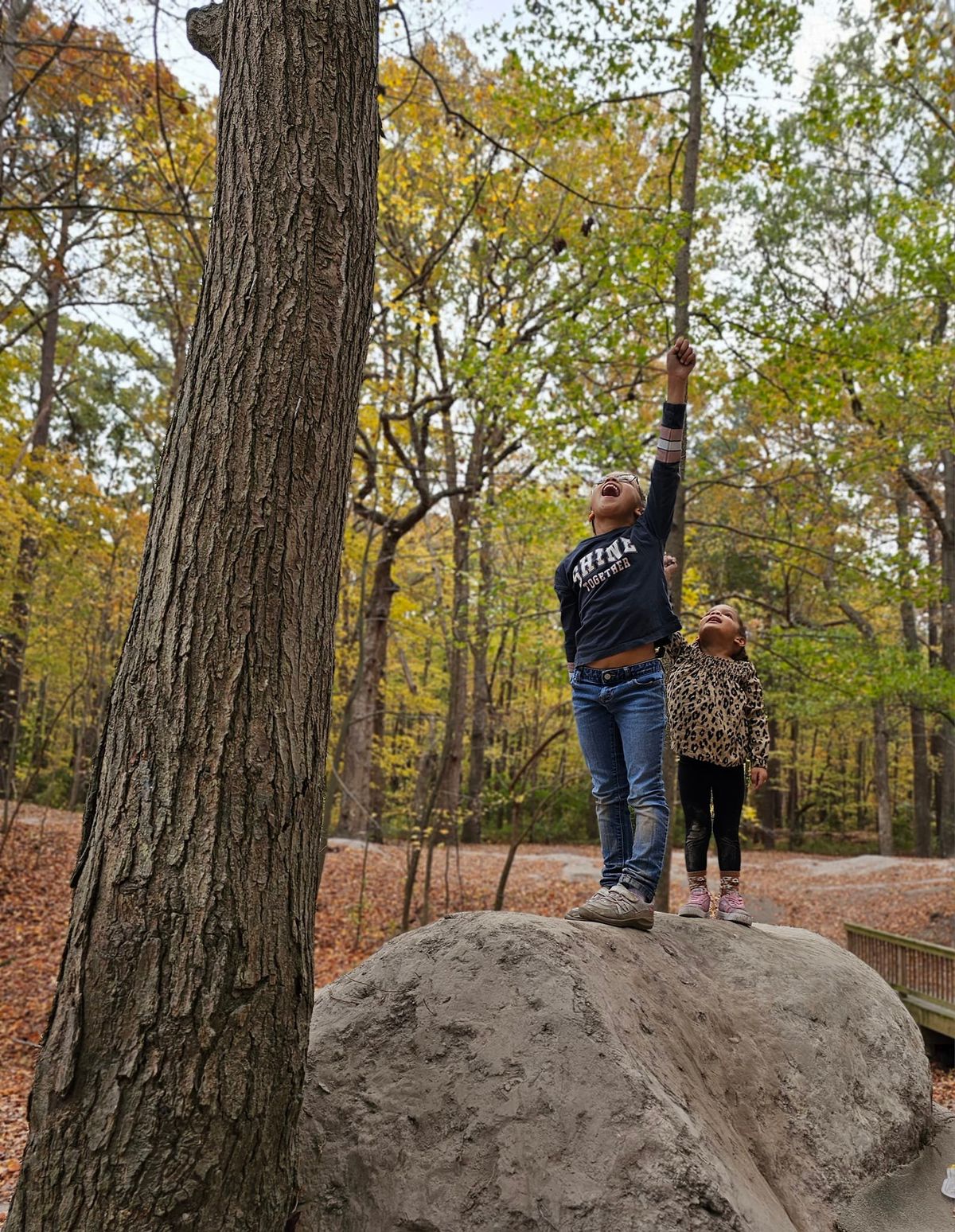 Family Hike & Picnic 