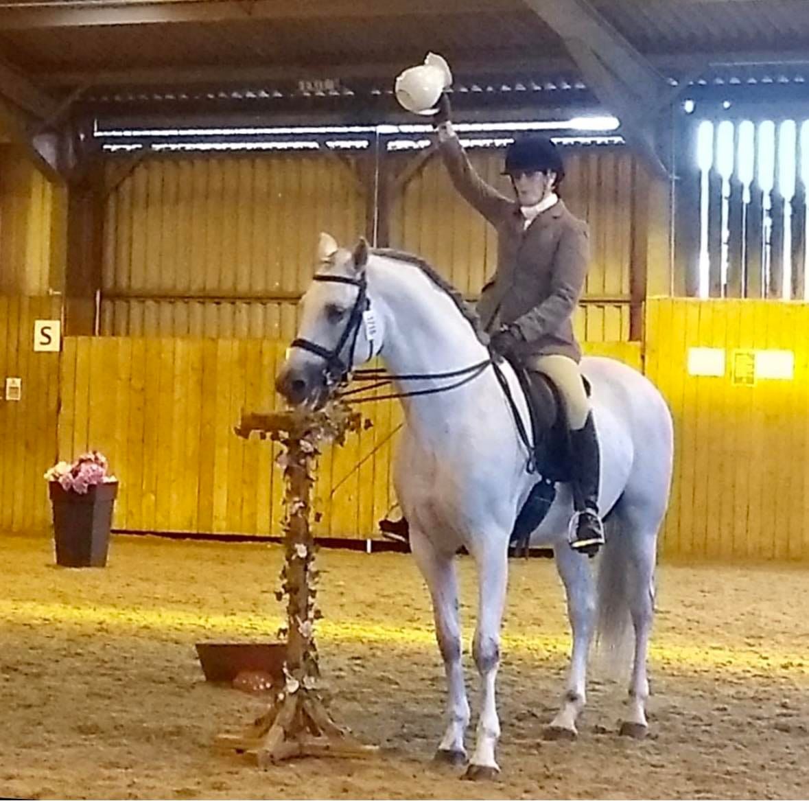 Working Equitation  with Emma Taylor