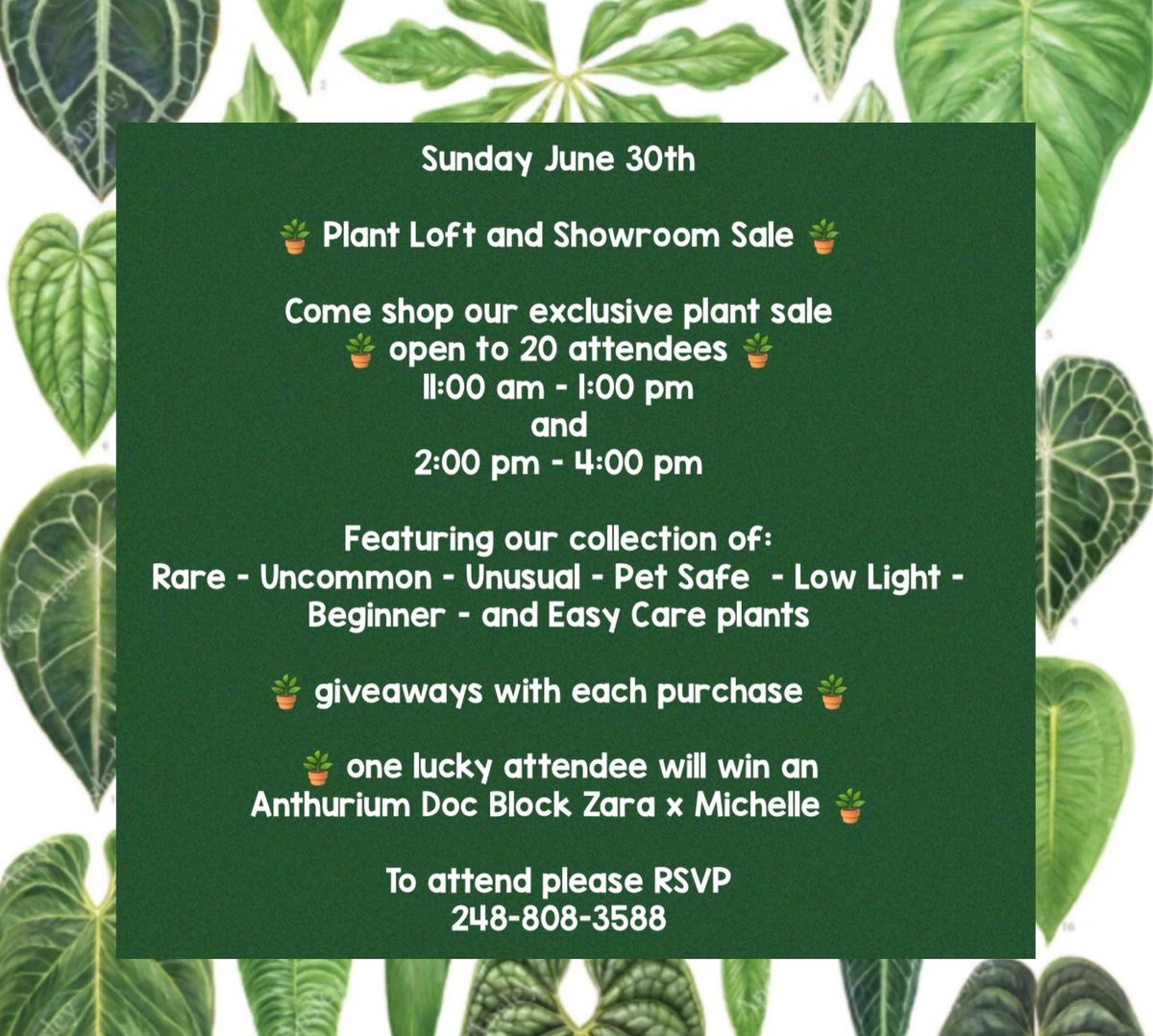 Plant Loft and Showroom Sale