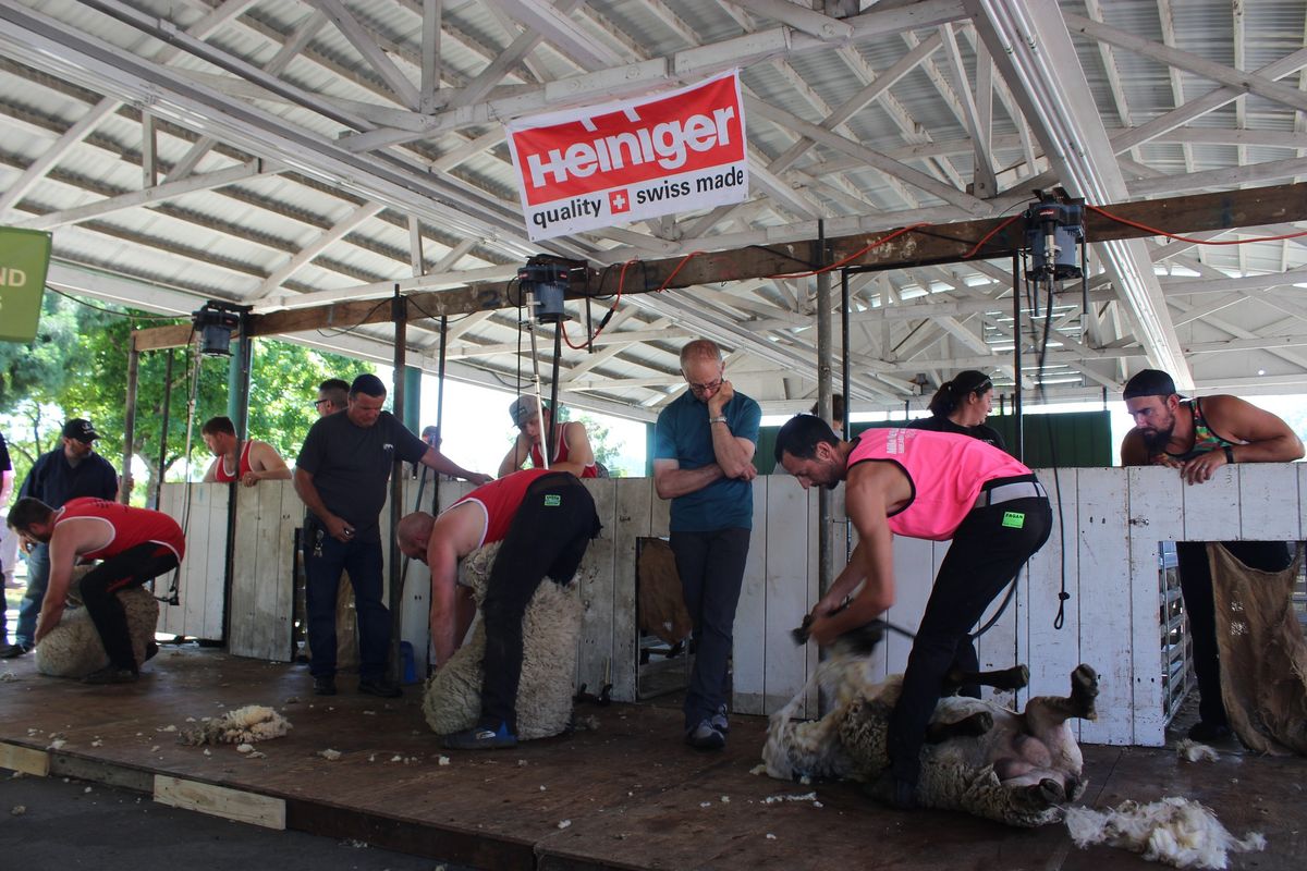 2025 US Shearing Championships