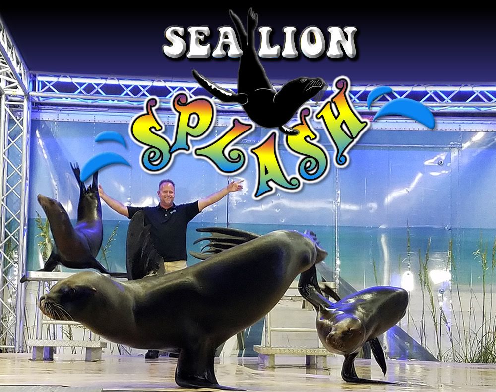 Sea Lion Splash Show