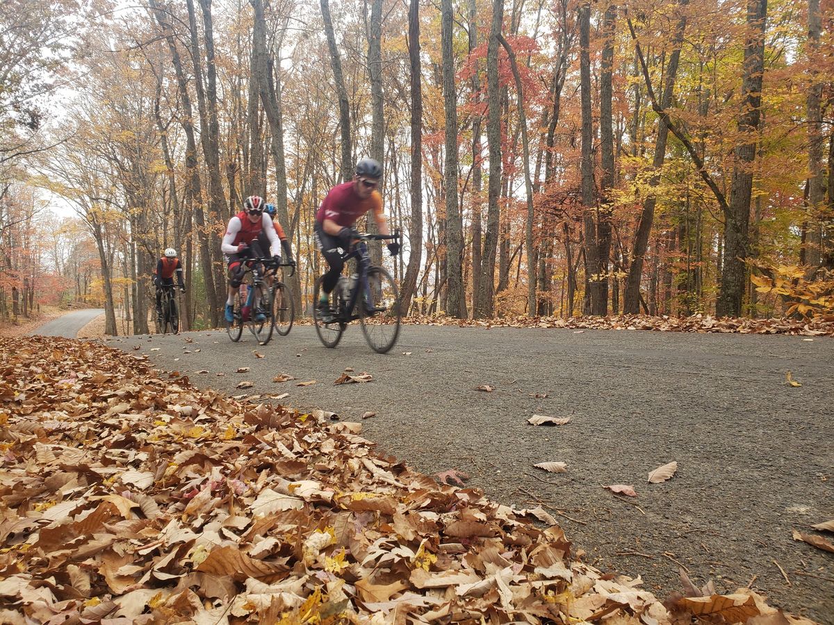 Ronde van DeLongen 16th edition