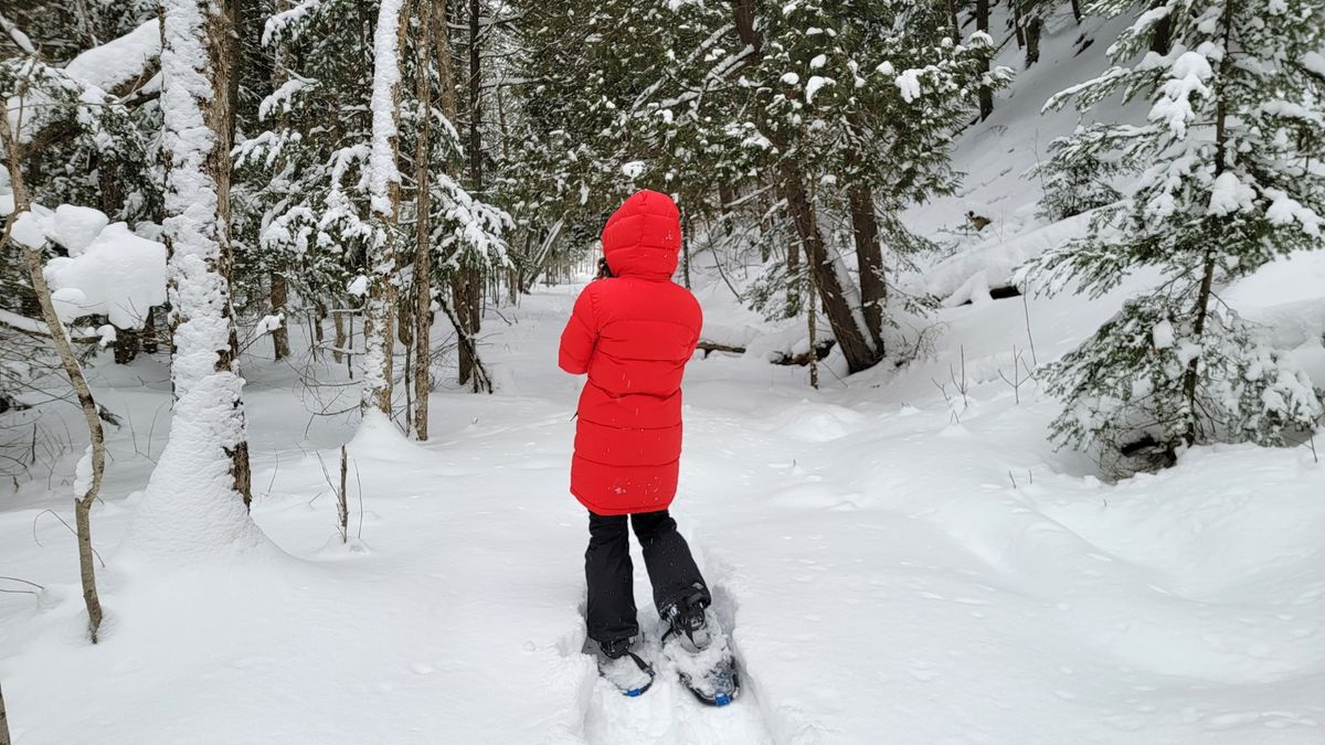 Family Snowshoeing