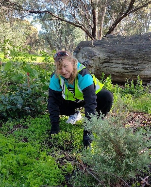 NATIONAL TREE DAY - WORKING BEE @ OAKLANDS RESERVE