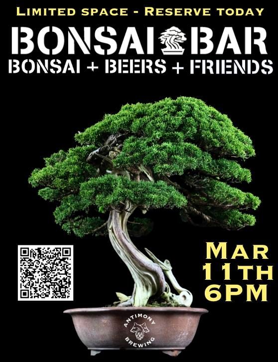 Bonsai Bar