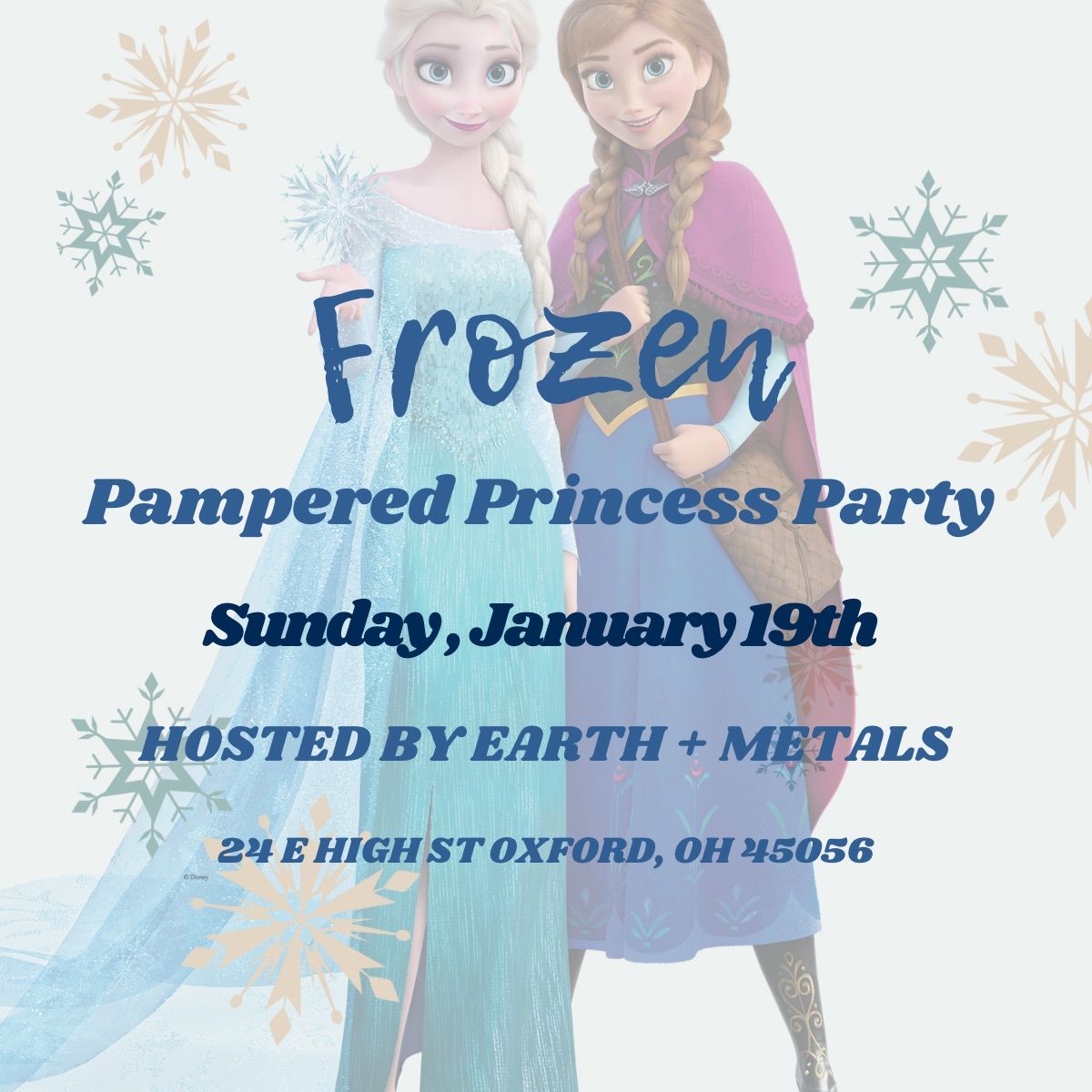 Frozen Pampered Princess Party