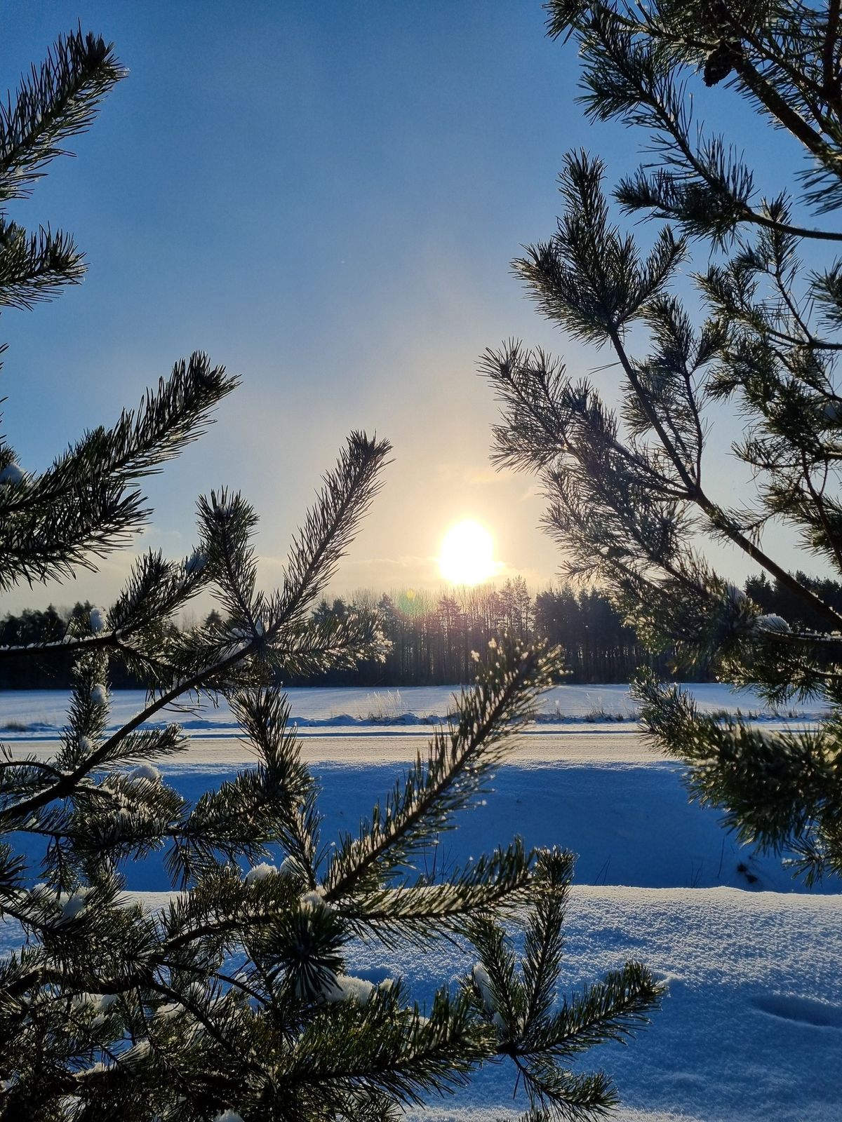 Jooks-matk 8 + 2 s\u00fcsteem 2 h \ud83e\udd32