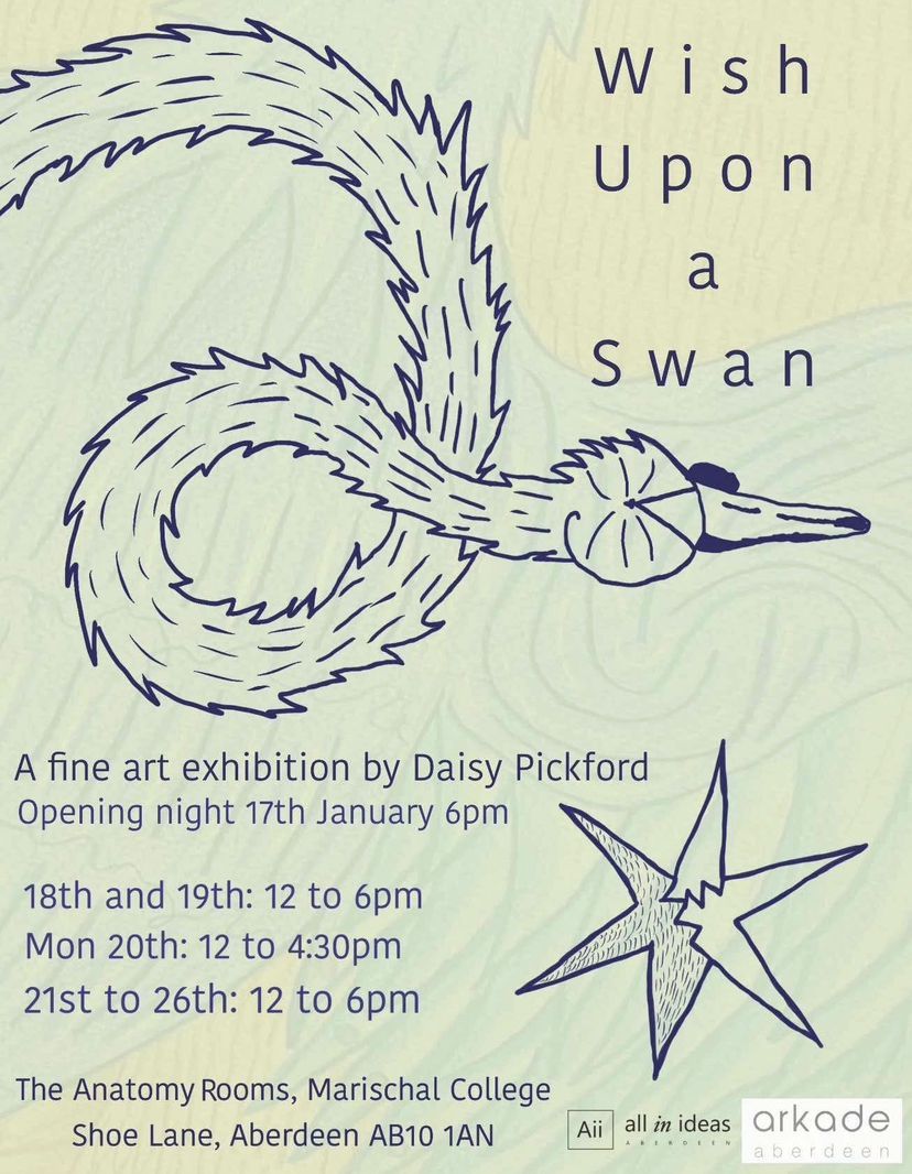 Daisy Pickford Artist Talk - 'Wish Upon a Swan'