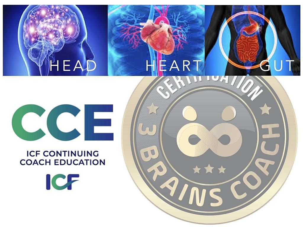 3 Brains Coach Certification ICF CCEU Accredited