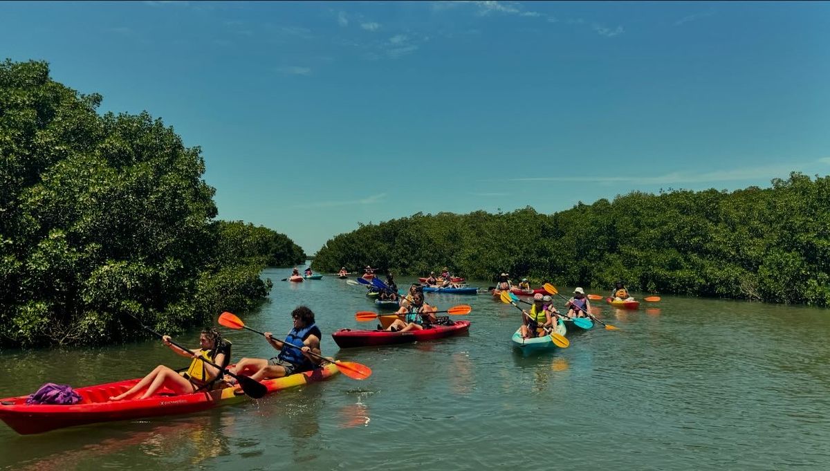 Mangrove Kayak Adventure: St. Pete's Hidden Tunnels