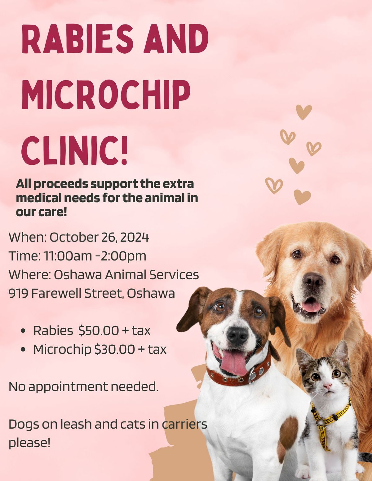 OAS Rabies & Microchip clinic