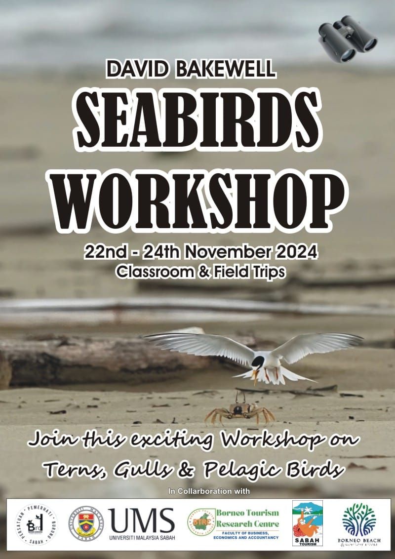 Shorebirds Workshop with Dave Bakewell and Sabah Birdwatchers Association