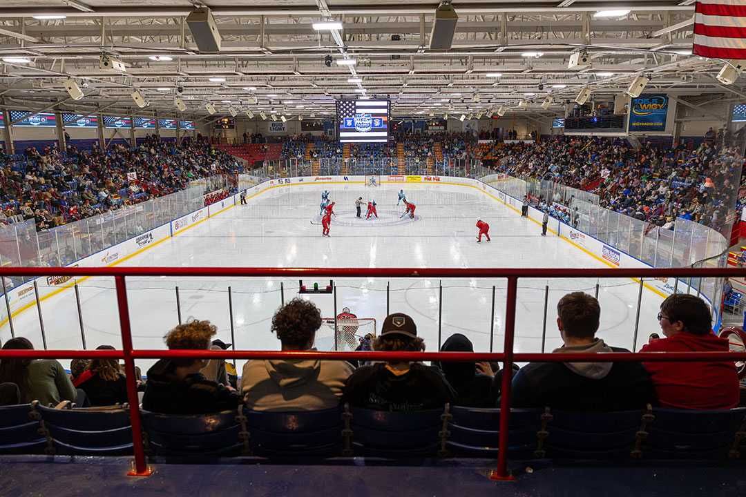 Public Skate