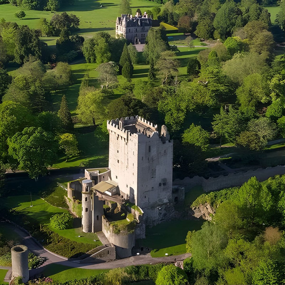 Easy Access Blarney Stone and Castle Gardens Tour 