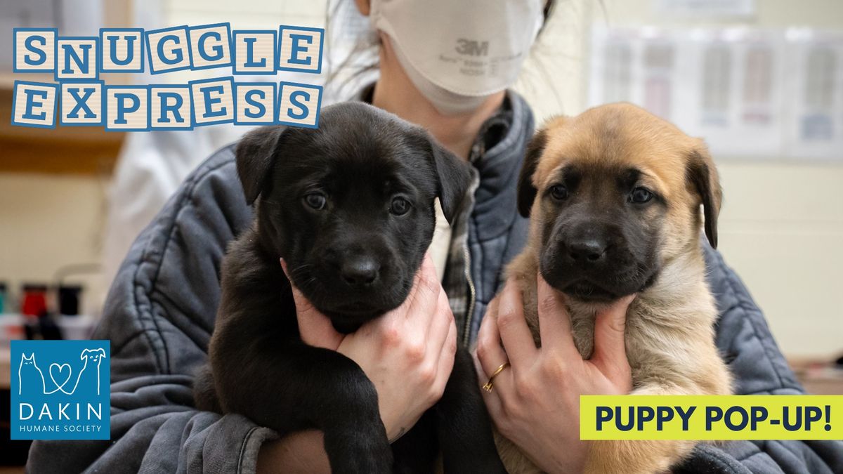 Snuggle Express: A Puppy Pop Up