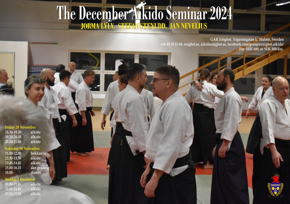 December Aikido Seminar 2024