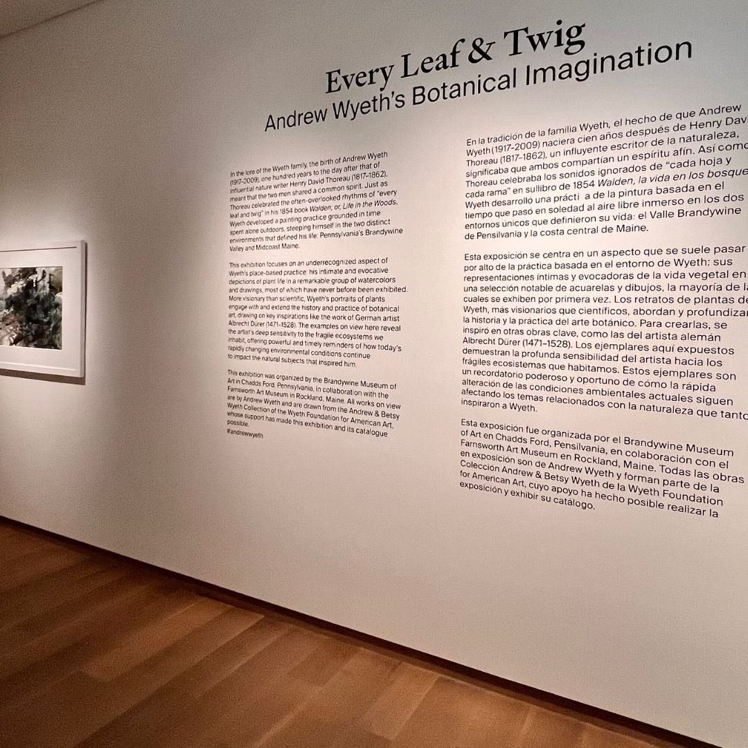 Bruce Presents: Slow Looking: The Visionary Botany of Andrew Wyeth