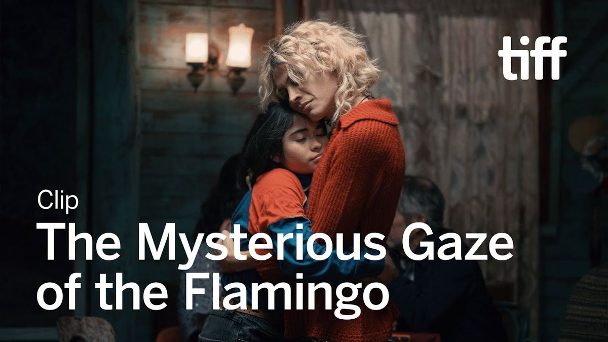 Toronto International Film Festival - The Mysterious Gaze of the Flamingo at Scotiabank Theatre Toronto