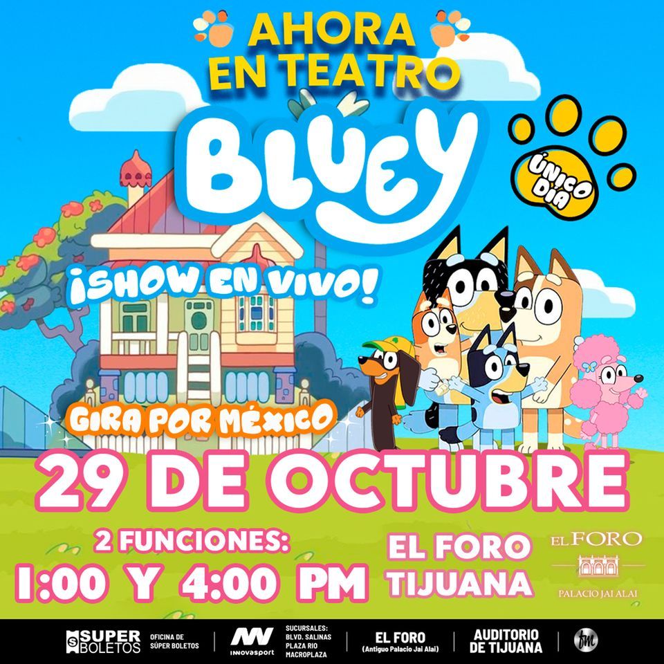 Bluey Tijuana