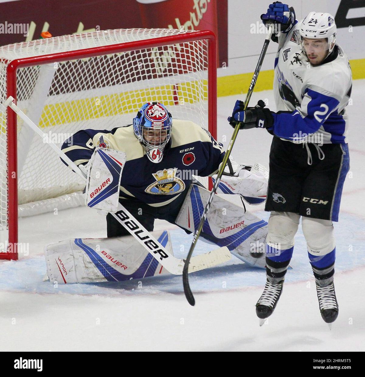 Rimouski Oceanic at Saint John Sea Dogs