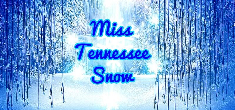 6th Annual Miss Tennessee Snow