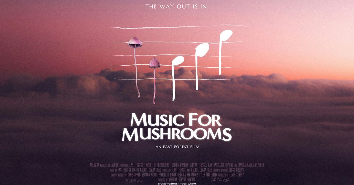 Music for Mushrooms Screening 