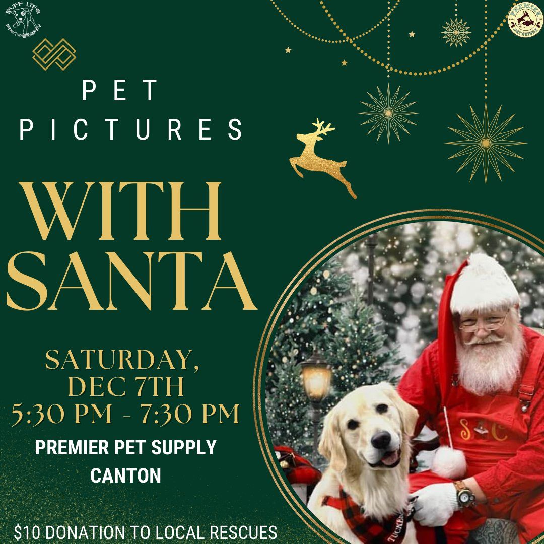 Santa Pictures W\/ Ruff Life Photography!