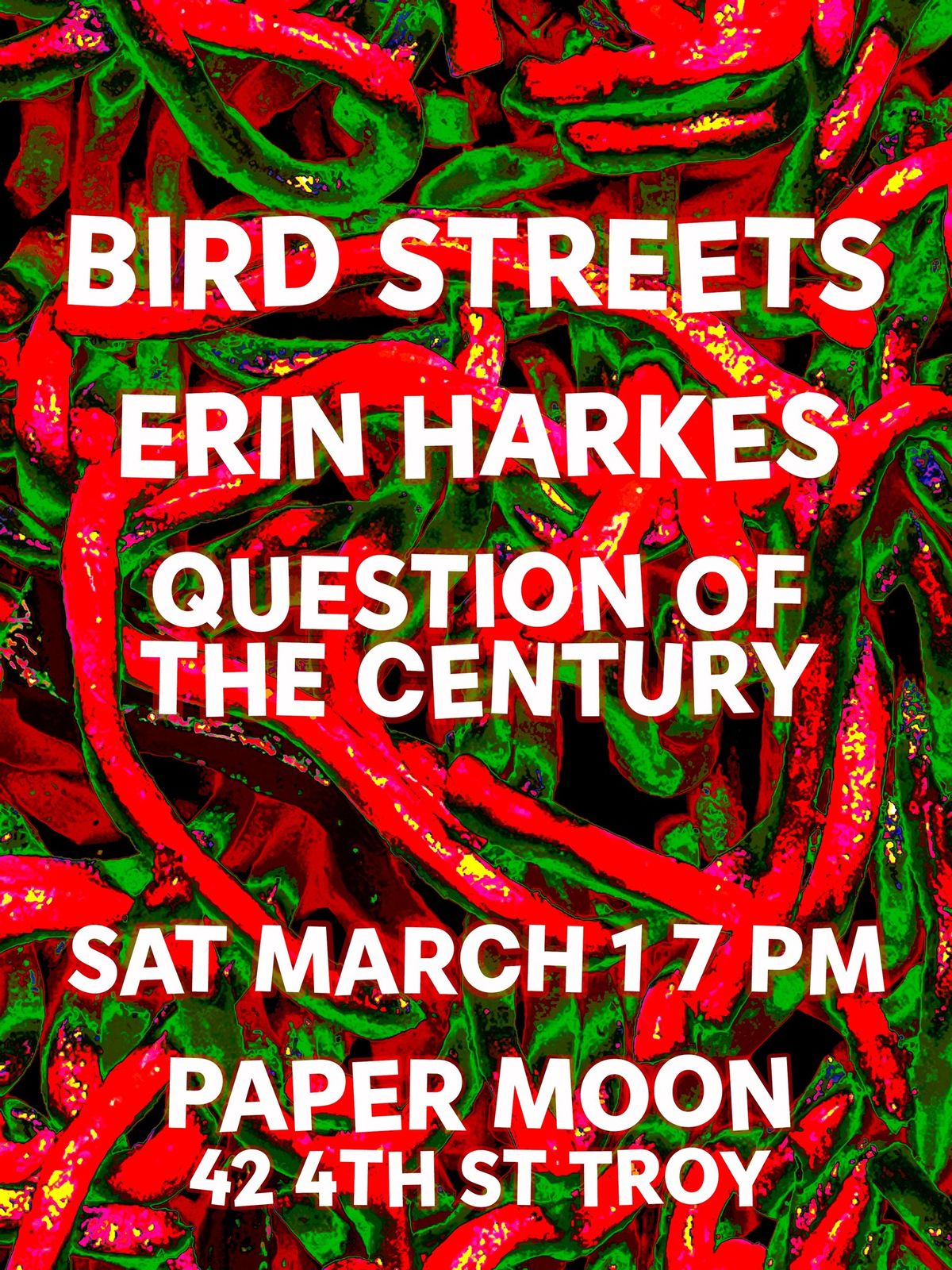 Paper Moon One-Year Anniversary Party w\/ Bird Streets and special guests