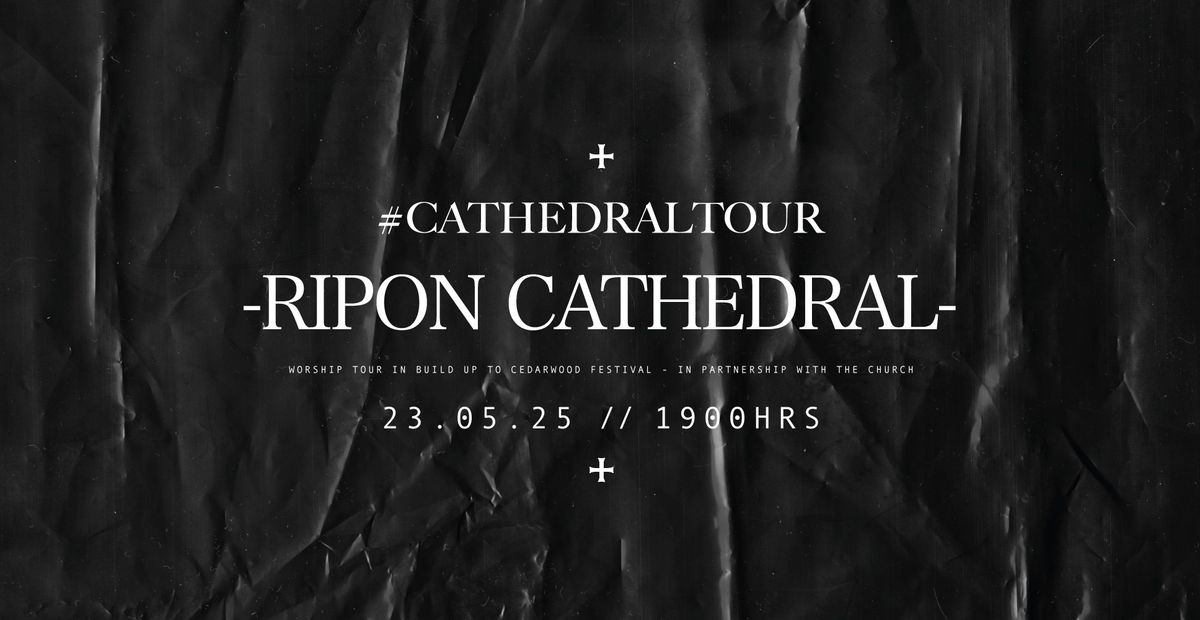 #CathedralTour 2025 Cedarwood \/\/ Ripon Cathedral