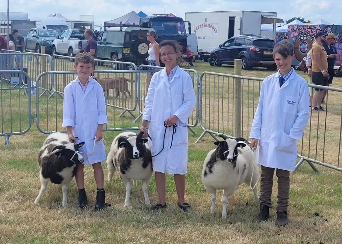 Jacob Sheep Society Introduction to Show Prep Day