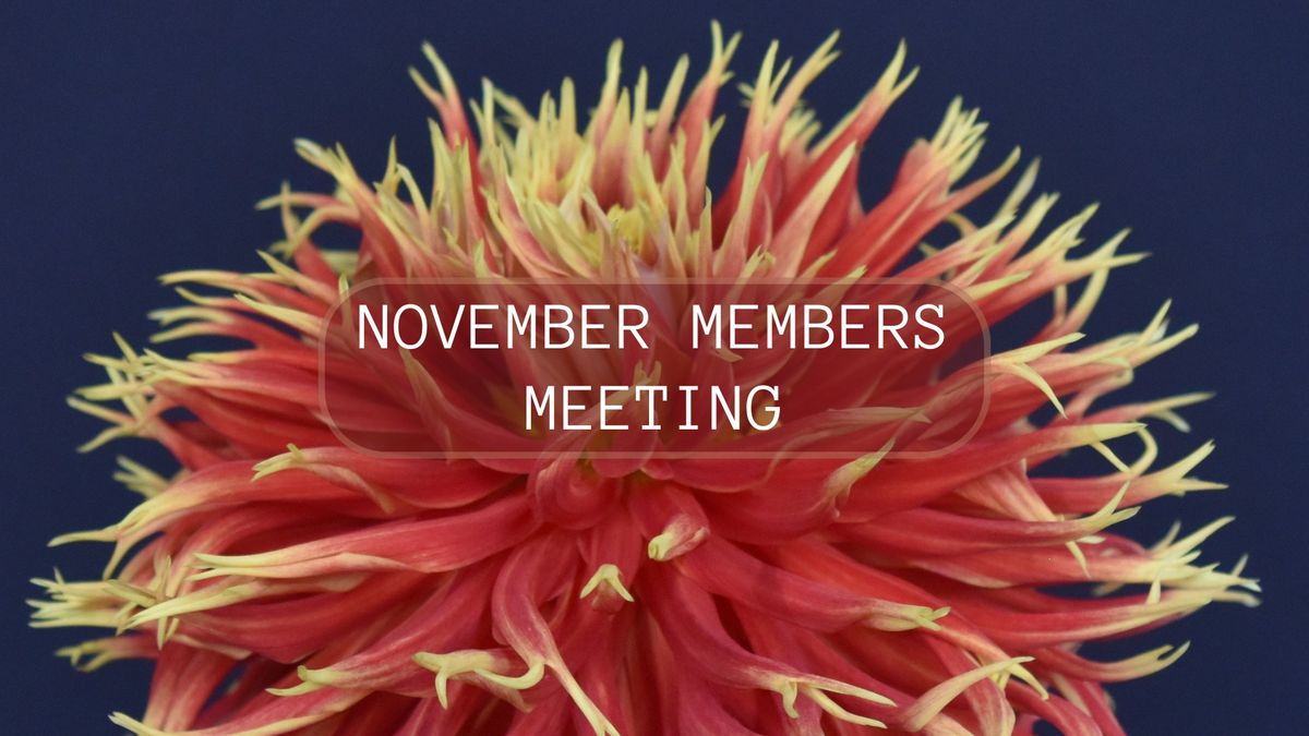 November 2024 - Members Meeting