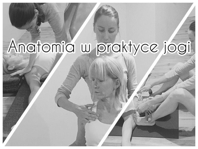 Anatomia w praktyce jogi: stopy, kolana, biodra