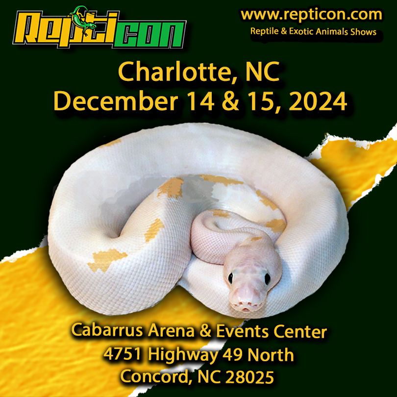 Repticon Charlotte