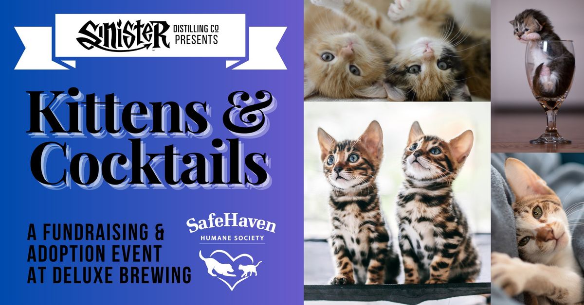 Kittens & Cocktails with SafeHaven Humane Society