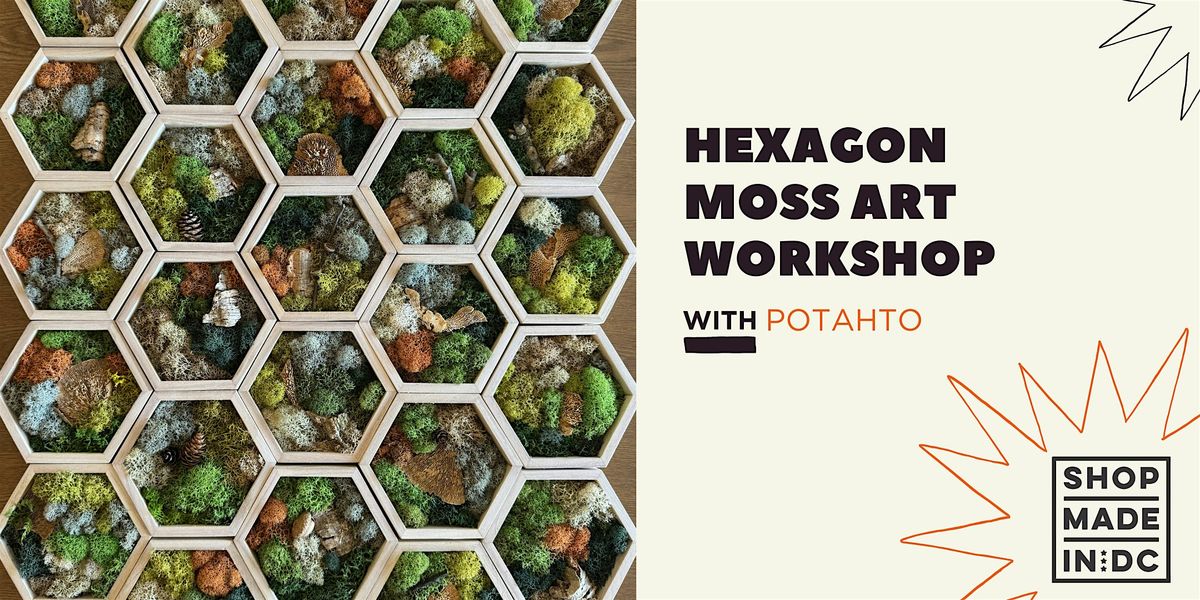 Hexagon Moss Art Workshop with Potahto