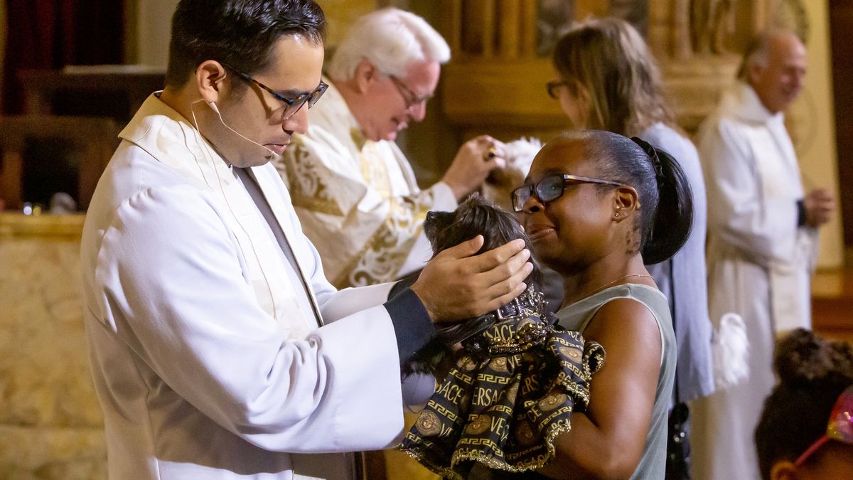 St. Francis Day Blessing of the Animals