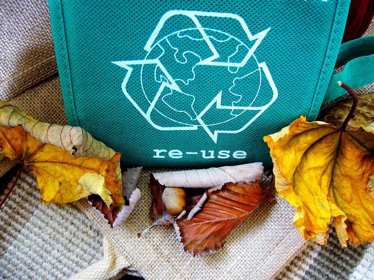 Naturentdecker "Recycling - Workshop" mit Gartenp\u00e4dagogin Dr. Birthe Lauer
