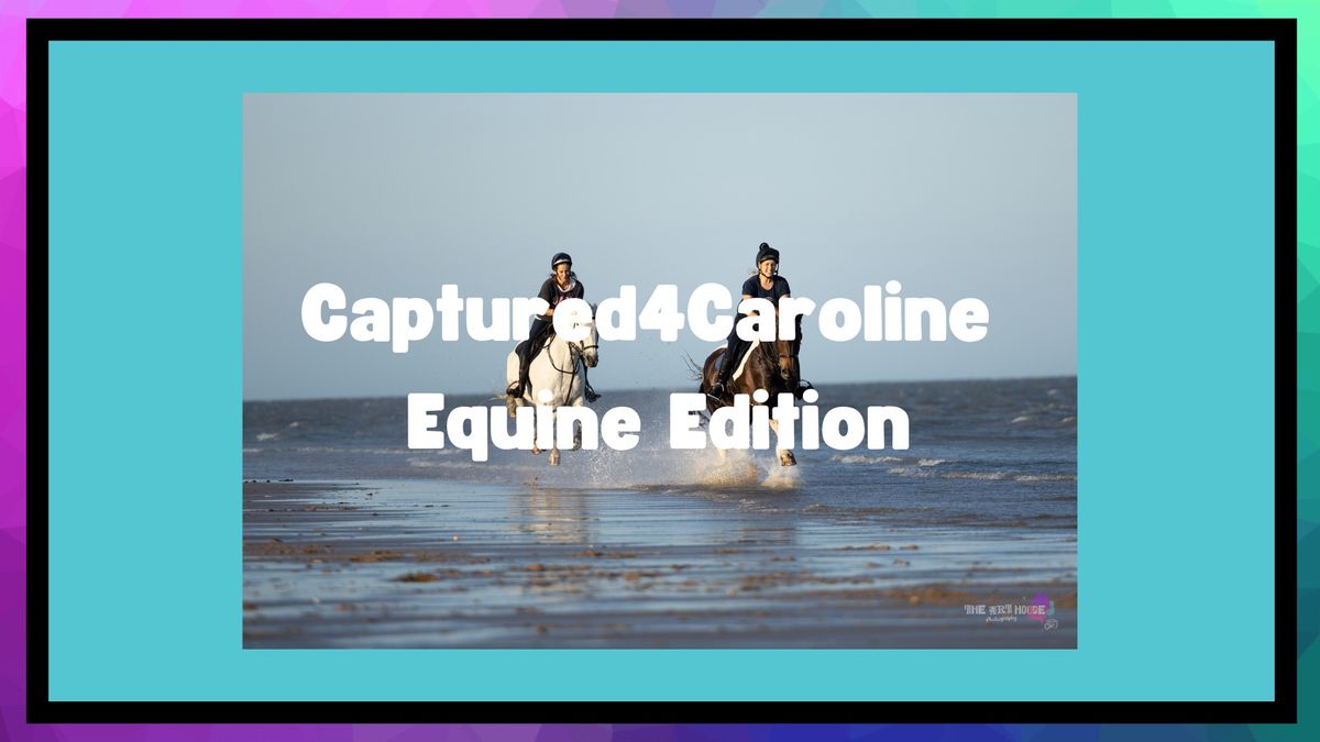 Captured4Caroline Equine