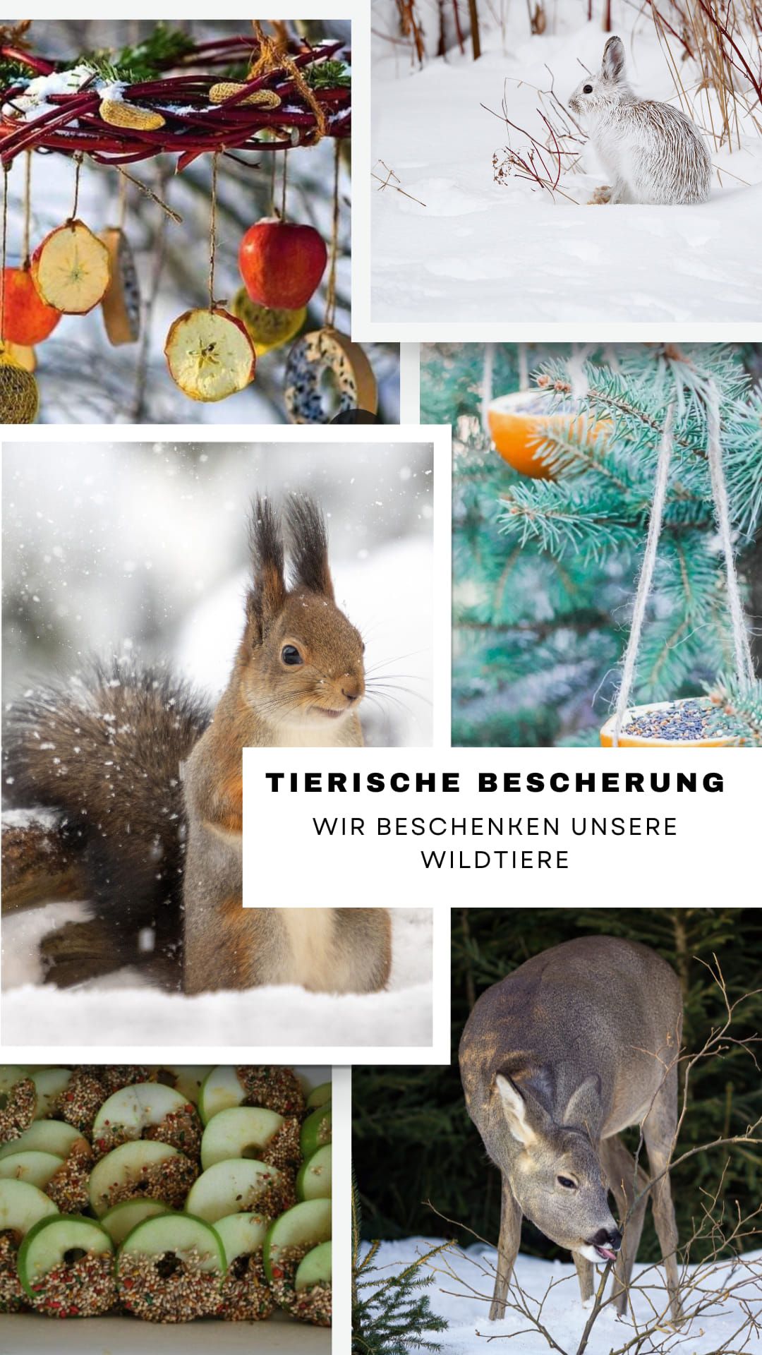 Tierische Bescherung - Wir beschenken unsere Wildtiere