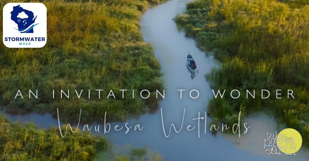 Tales from Planet Earth - Waubesa Wetlands Film Screening