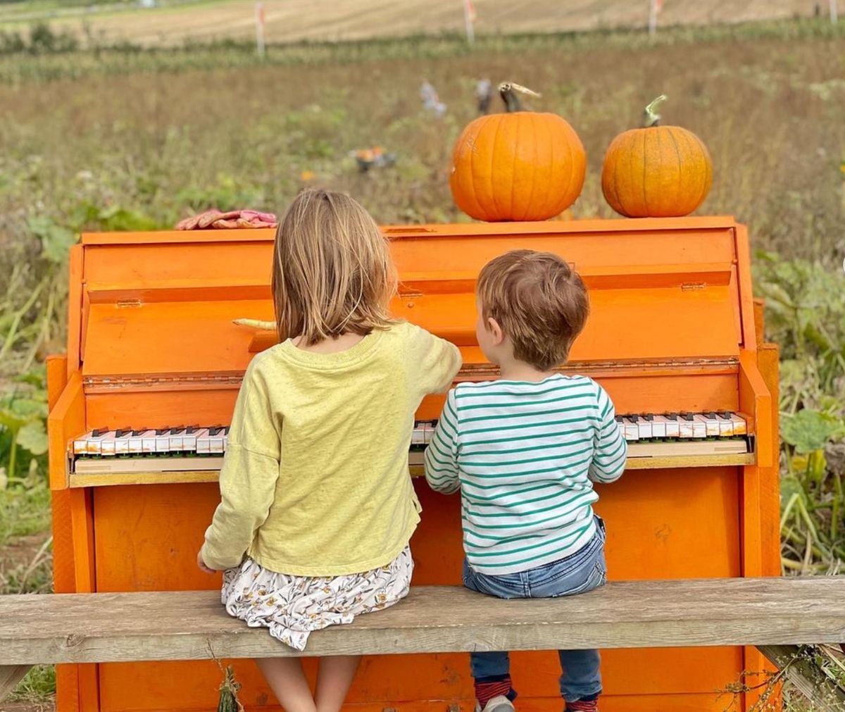 Bath Pumpkin Patch 