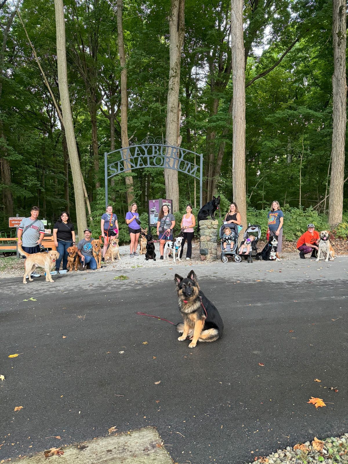 SHK9 Maybury Pack Walk \ud83e\udd83 