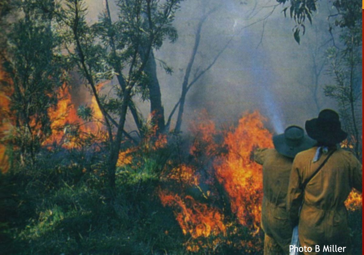 Night Chats at Lake Claremont: Prescribed Burning - Is it effective?