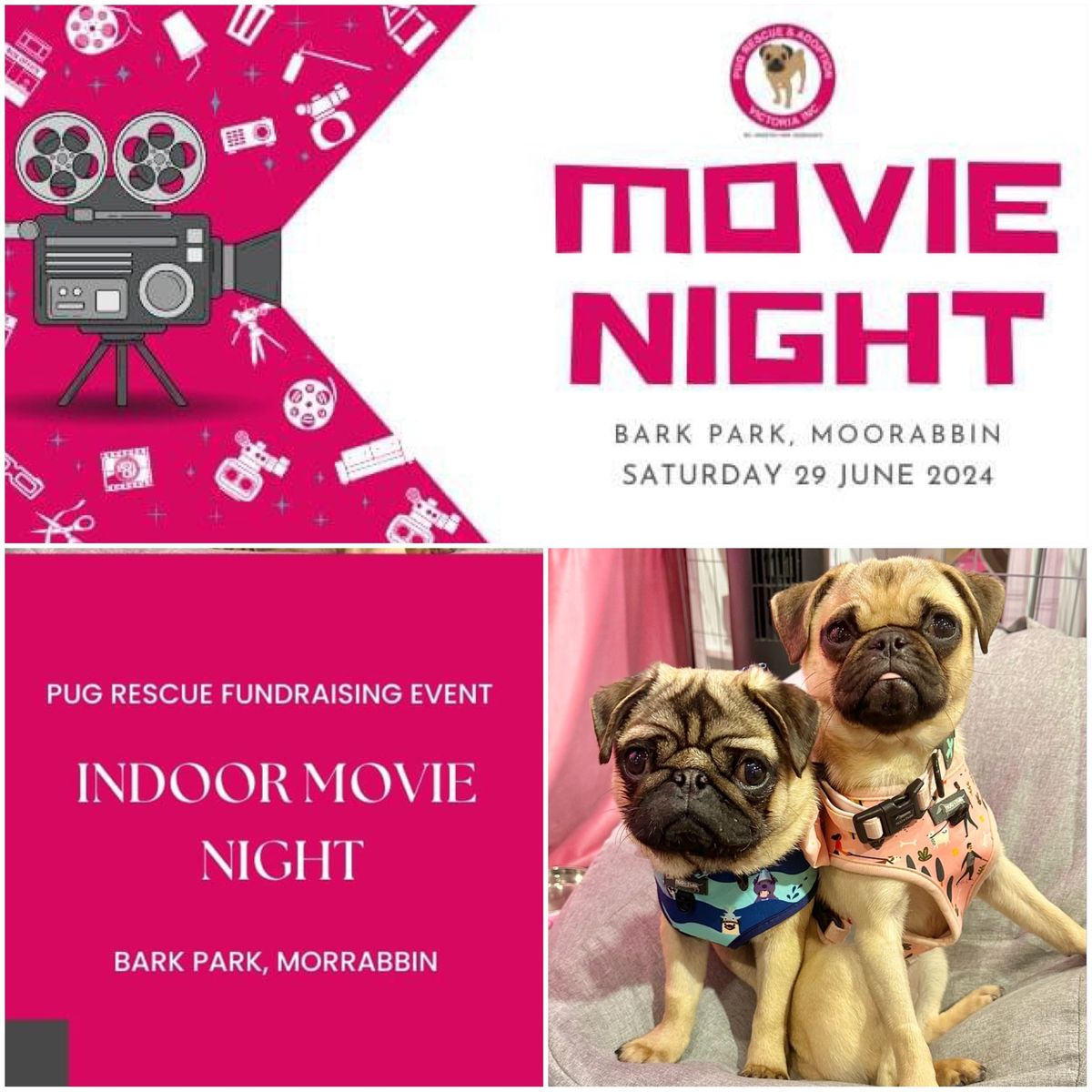 Pug Rescue Indoor Movie Night