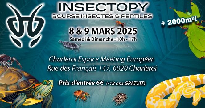 INSECTOPY 2025 - HIVER