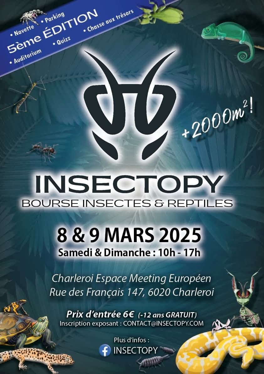 INSECTOPY 2025 - HIVER